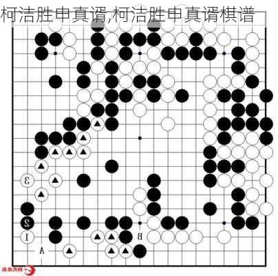 柯洁胜申真谞,柯洁胜申真谞棋谱