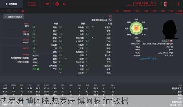 热罗姆 博阿滕,热罗姆 博阿滕 fm数据