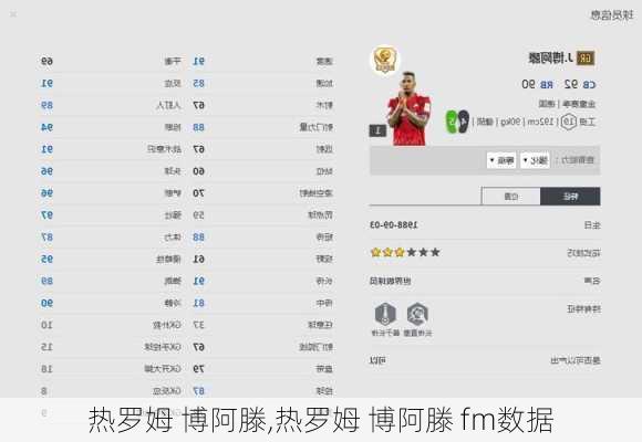 热罗姆 博阿滕,热罗姆 博阿滕 fm数据