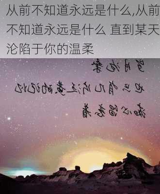 从前不知道永远是什么,从前不知道永远是什么 直到某天沦陷于你的温柔