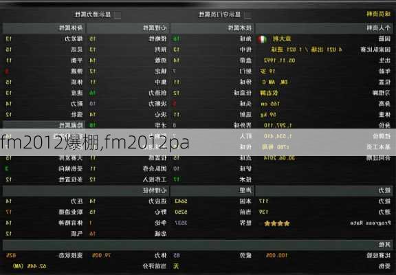 fm2012爆棚,fm2012pa