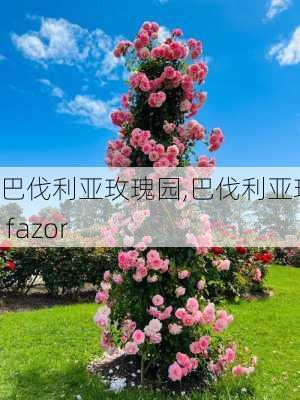 巴伐利亚玫瑰园,巴伐利亚玫瑰 fazor