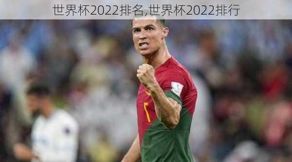 世界杯2022排名,世界杯2022排行