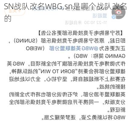 SN战队改名WBG,sn是哪个战队改名的