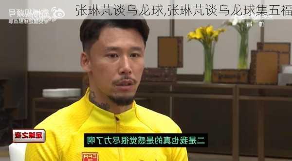 张琳芃谈乌龙球,张琳芃谈乌龙球集五福