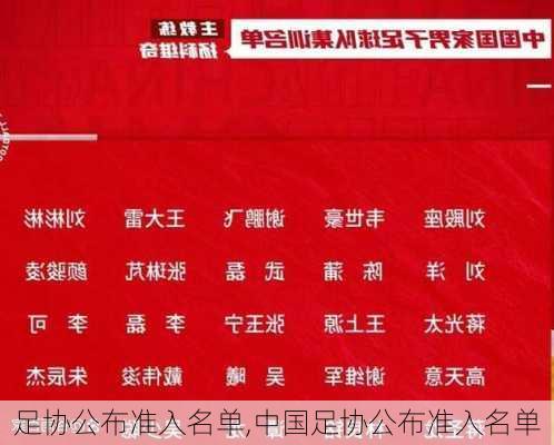 足协公布准入名单,中国足协公布准入名单