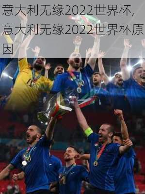 意大利无缘2022世界杯,意大利无缘2022世界杯原因