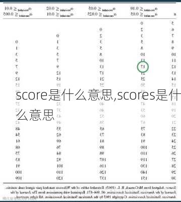 score是什么意思,scores是什么意思